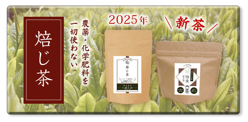 2025年ほうじちゃ新茶