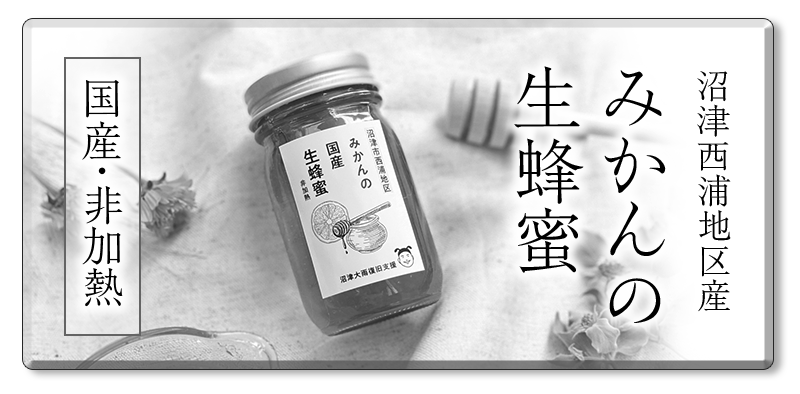 新世紀エヴァンゲリヲン 御守計画発動！ 御守りクリーナー【重要事項確認の事】 到着(10/17)｜eb.a.gos - MADRIGAL（マドリガル）